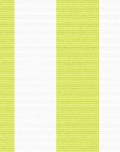 'Candy Stripe' Wallpaper by Wallshoppe - Lime