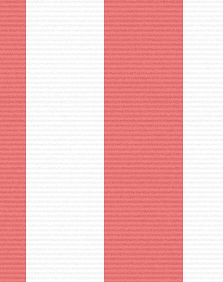candy-stripe-watermelon