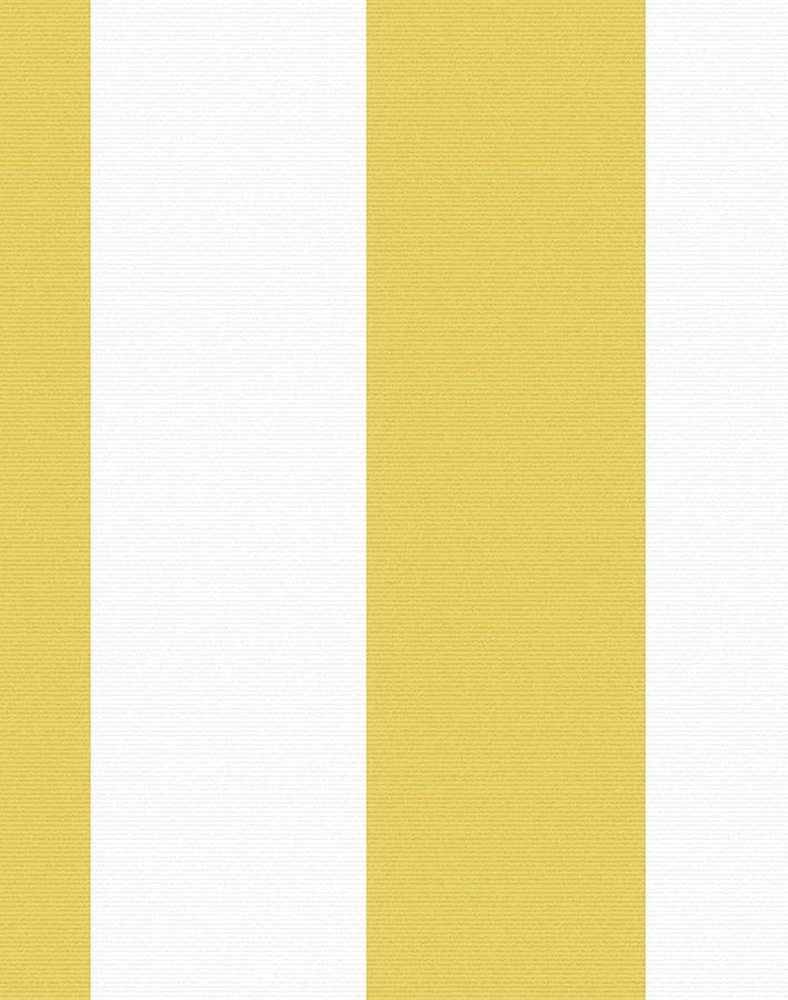 'Candy Stripe' Wallpaper by Wallshoppe - Yellow