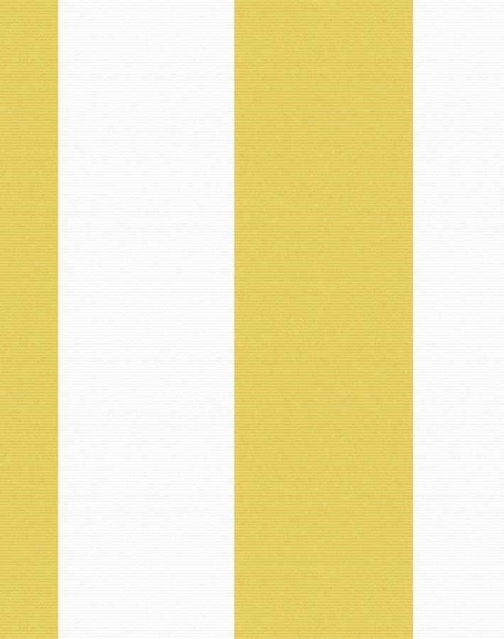 candy stripe yellow