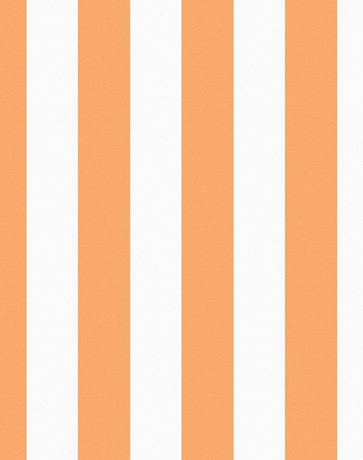 candy stripe creamsicle
