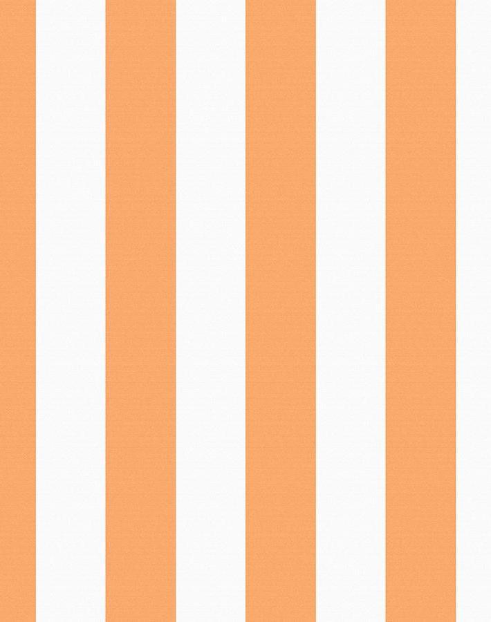 'Candy Stripe' Wallpaper by Wallshoppe - Creamsicle