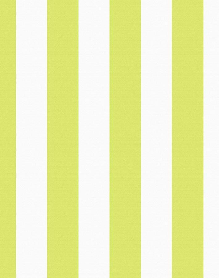 candy stripe lime