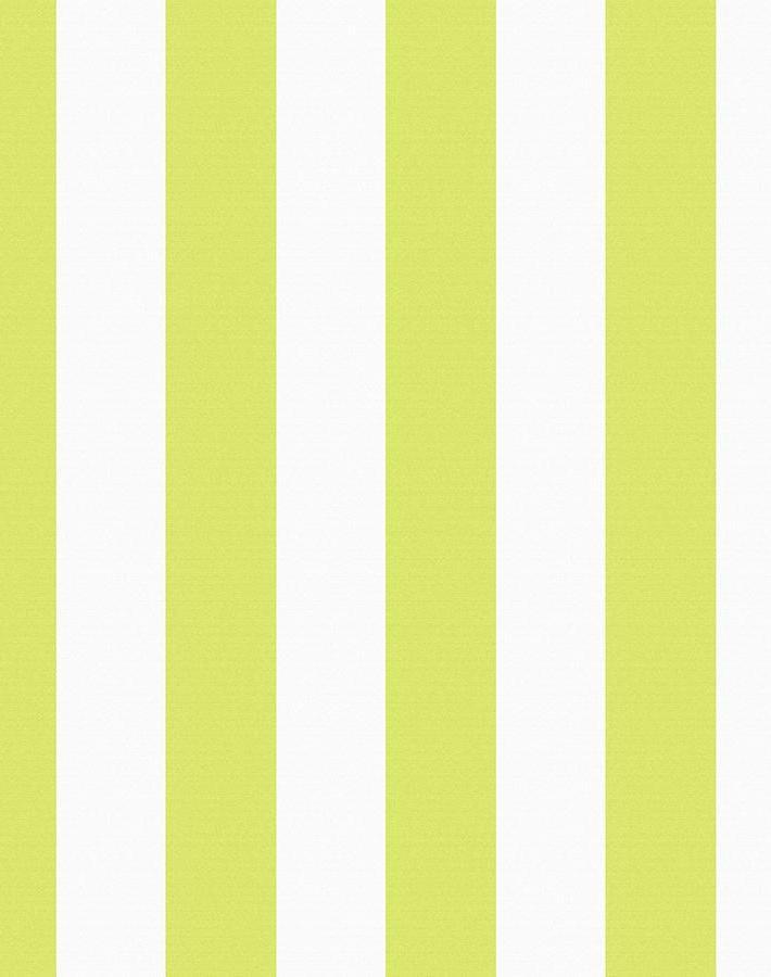 'Candy Stripe' Wallpaper by Wallshoppe - Lime