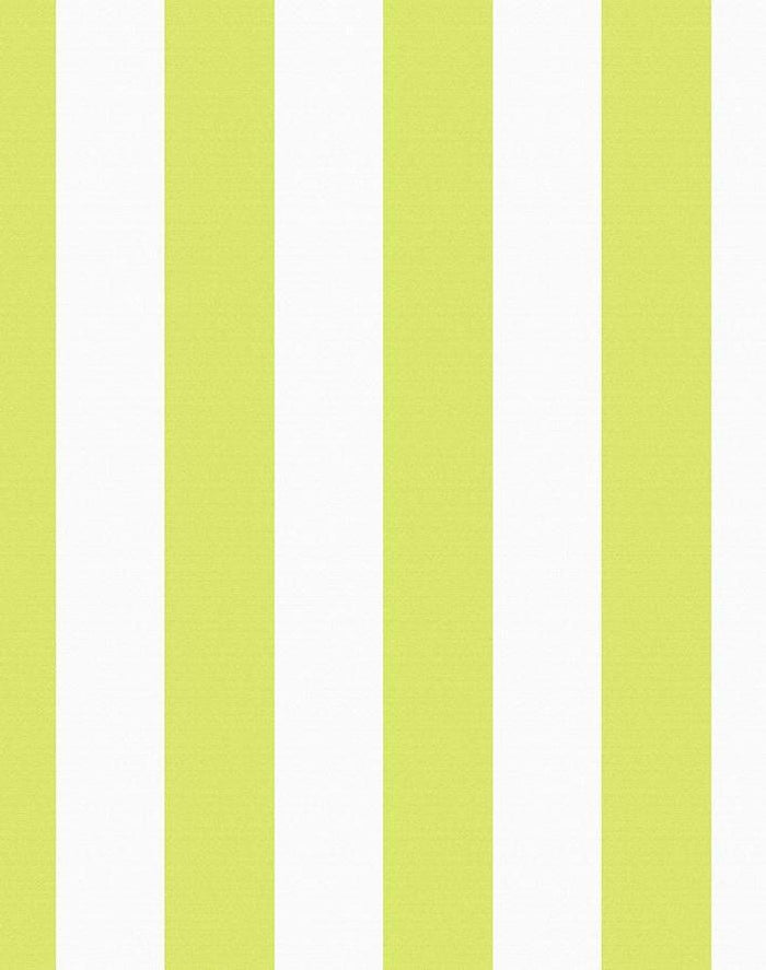 'Candy Stripe' Wallpaper by Wallshoppe - Lime