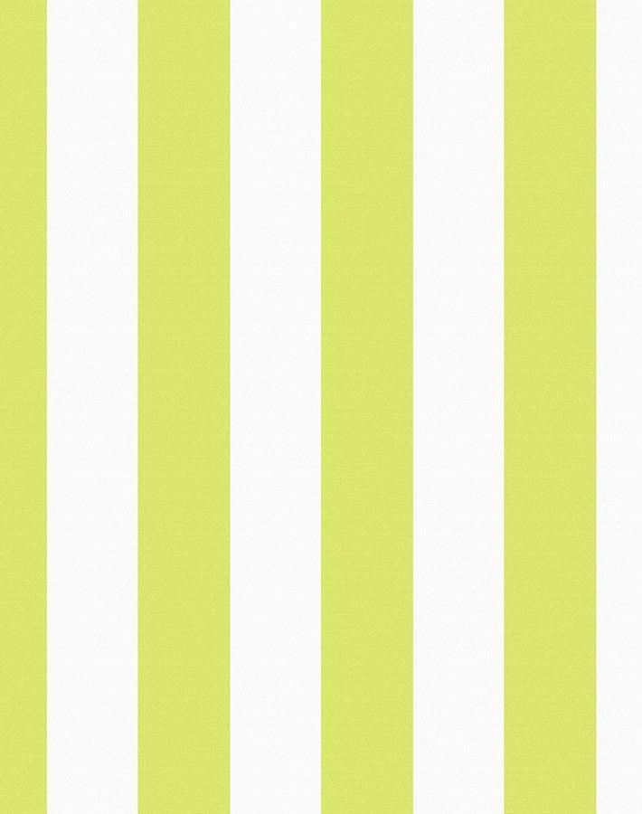 candy stripe lime