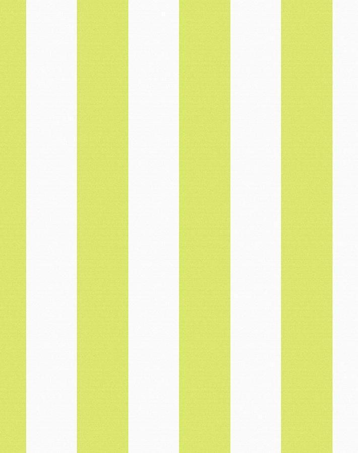 'Candy Stripe' Wallpaper by Wallshoppe - Lime