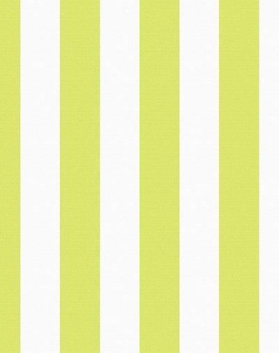 'Candy Stripe' Wallpaper by Wallshoppe - Lime