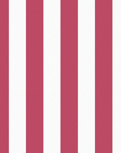candy stripe rose