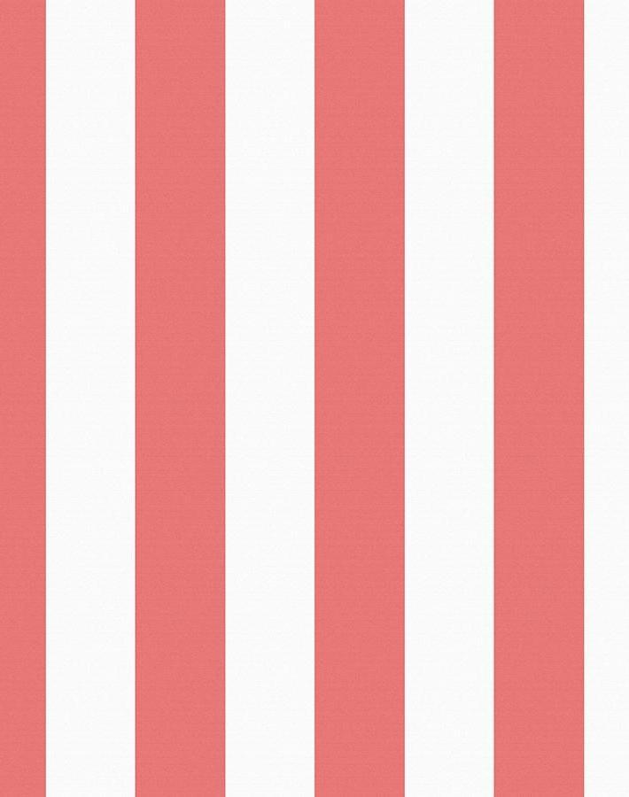 'Candy Stripe' Wallpaper by Wallshoppe - Watermelon