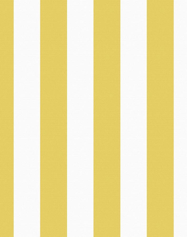 candy stripe yellow