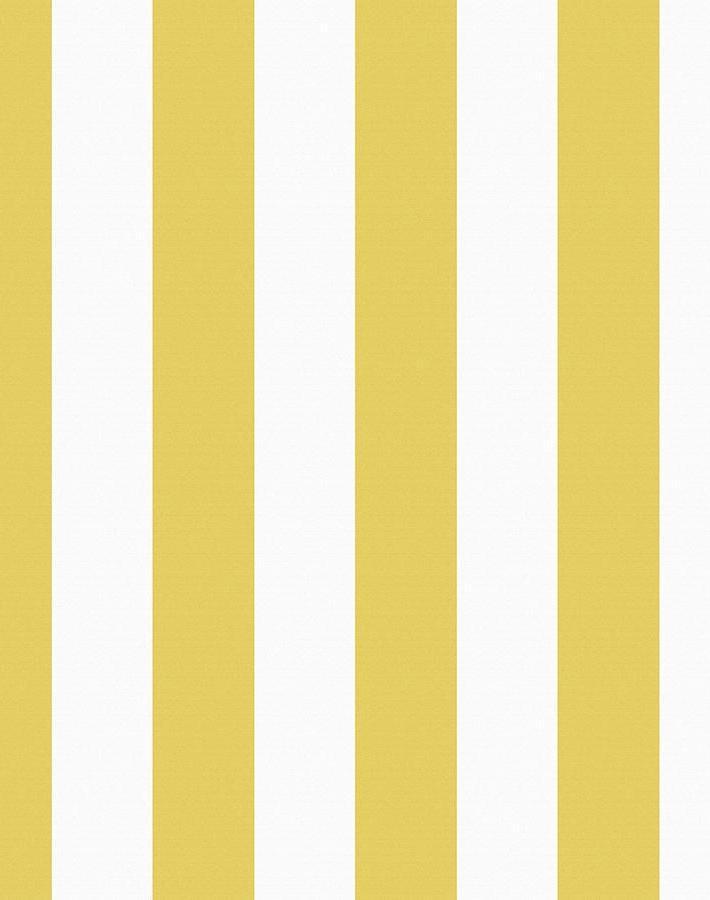 candy stripe yellow