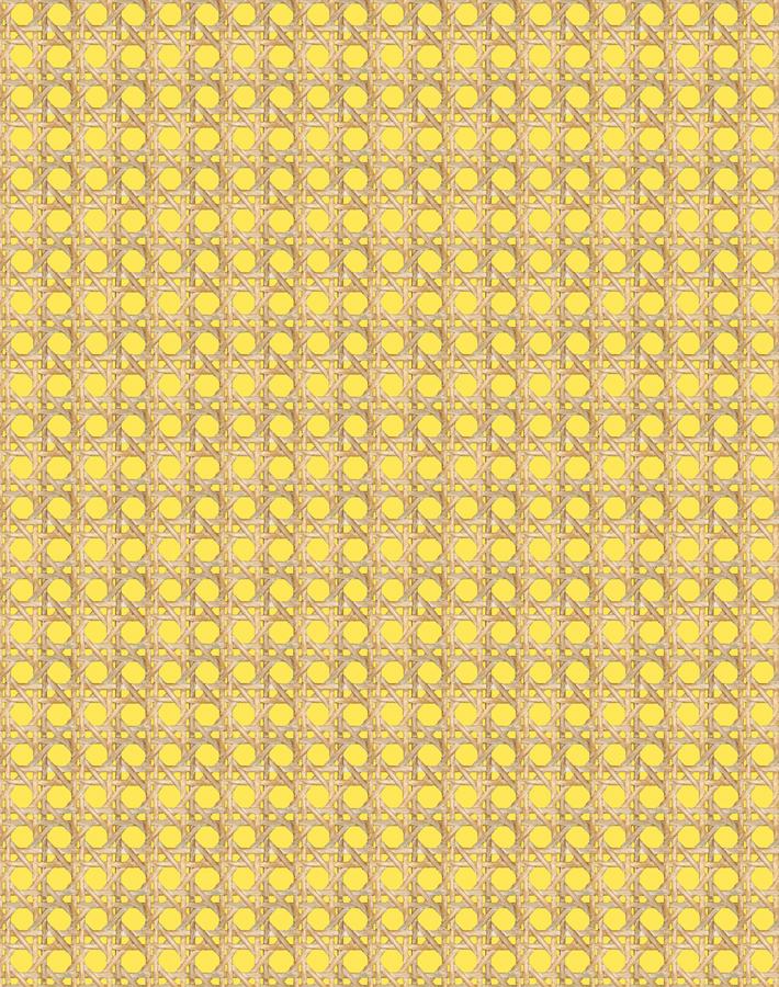 caning daffodil