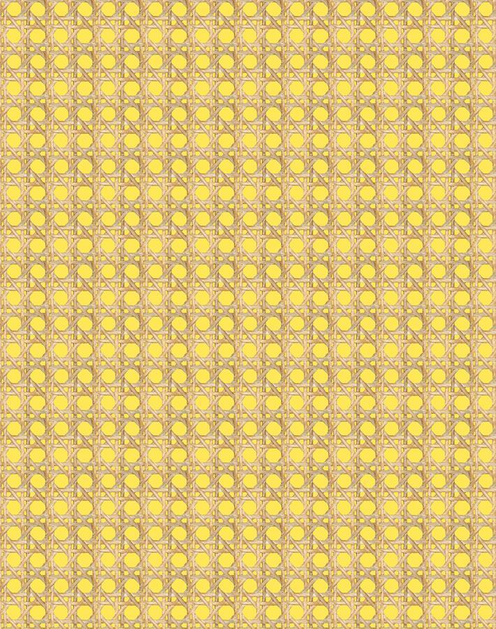 caning daffodil