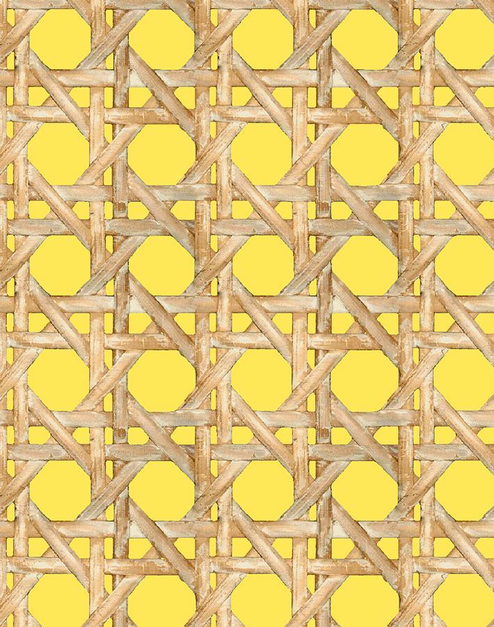caning daffodil