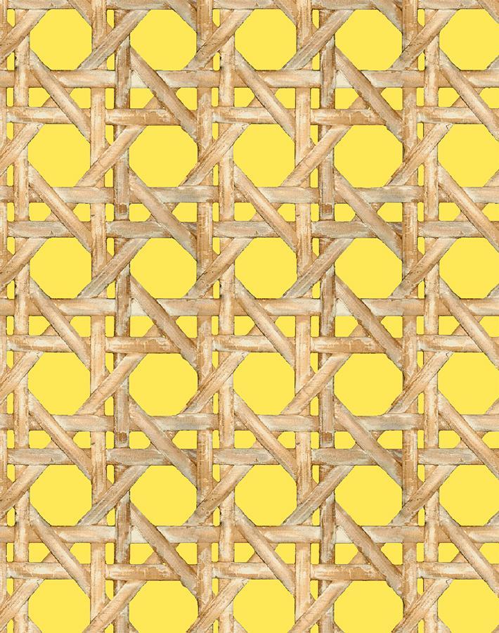 'Faux Caning' Wallpaper by Wallshoppe - Daffodil