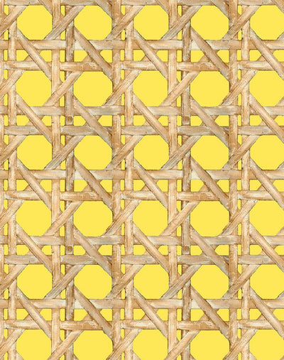 caning daffodil