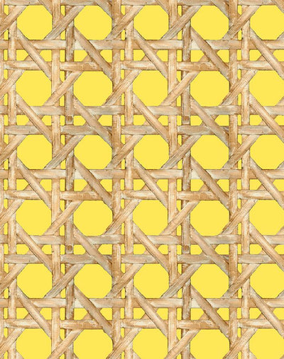 'Faux Caning' Wallpaper by Wallshoppe - Daffodil