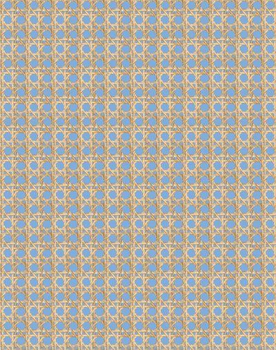 caning denim