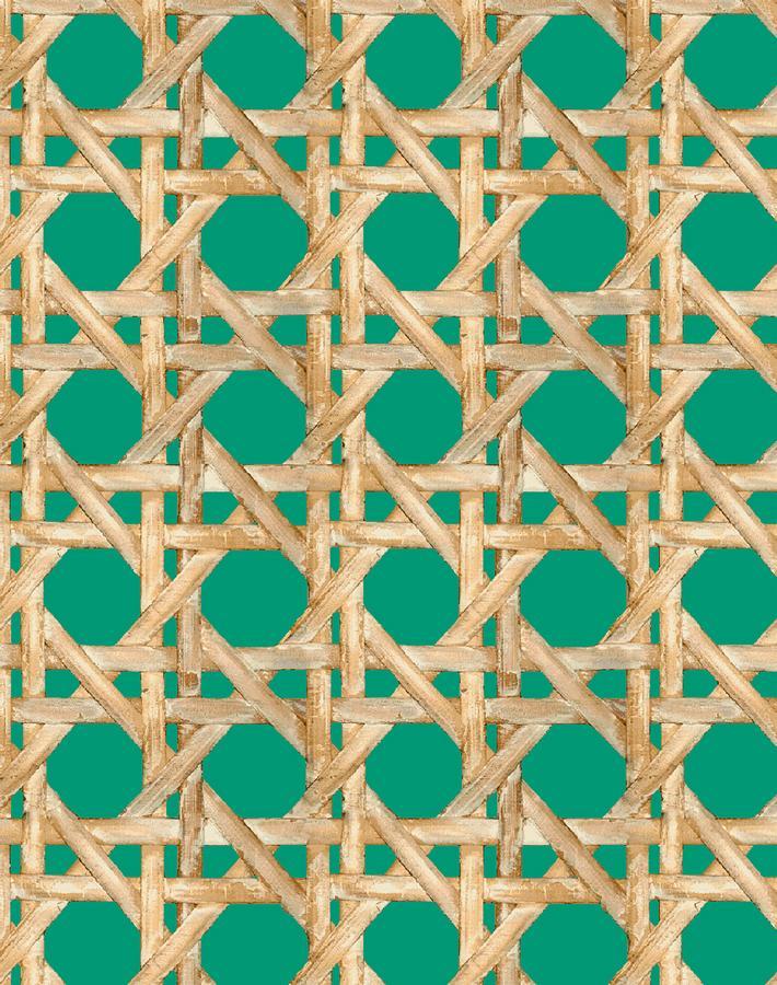 'Faux Caning' Wallpaper by Wallshoppe - Emerald
