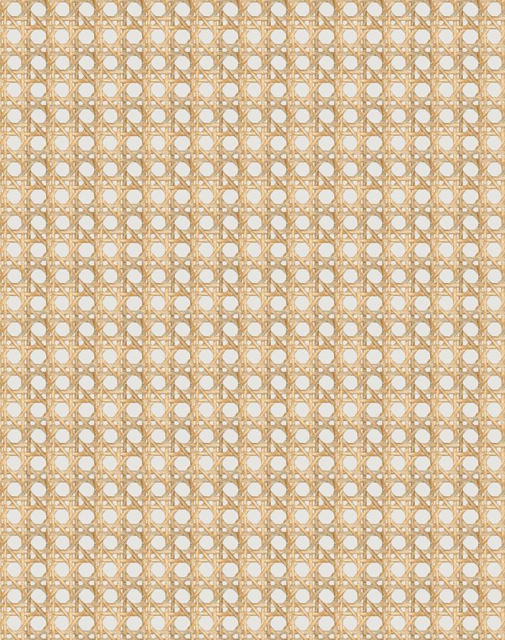 'Faux Caning' Wallpaper by Wallshoppe - Sand