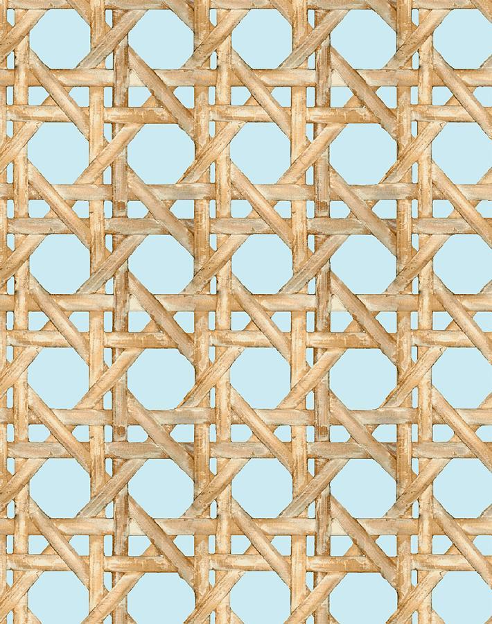 caning sky