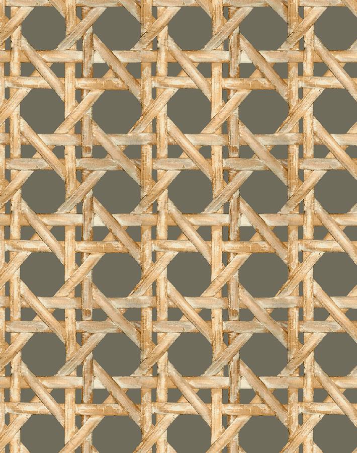 caning umber