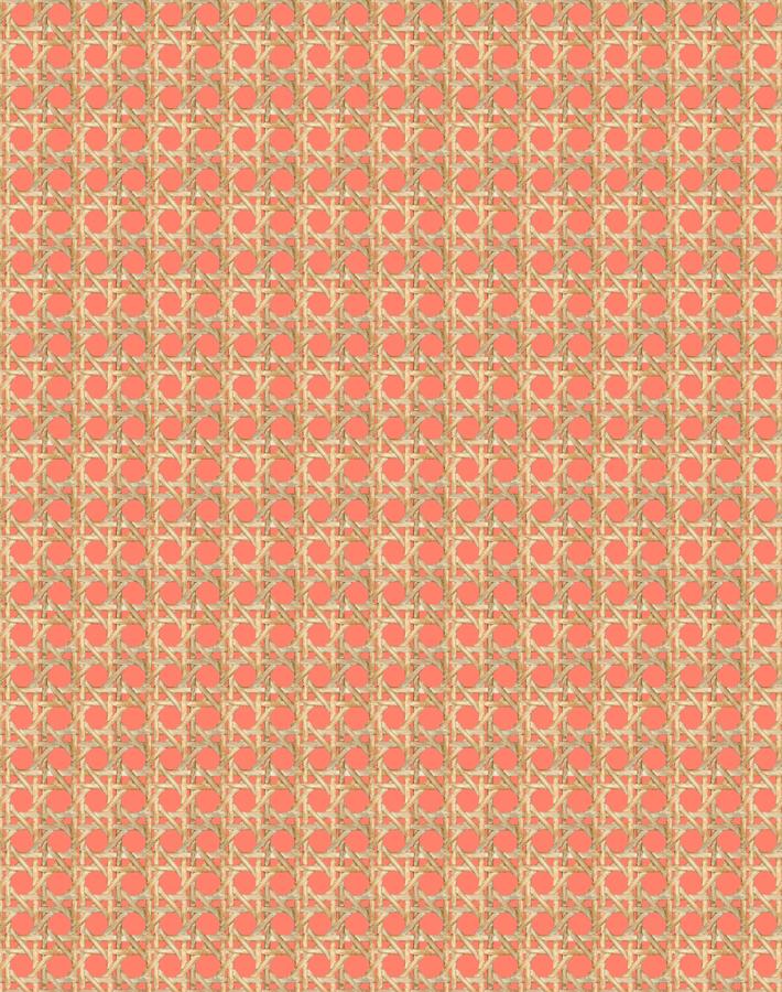 'Faux Caning' Wallpaper by Wallshoppe - Watermelon