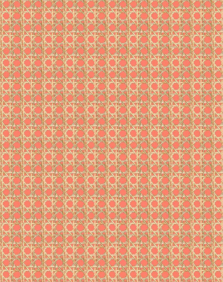 caning watermelon