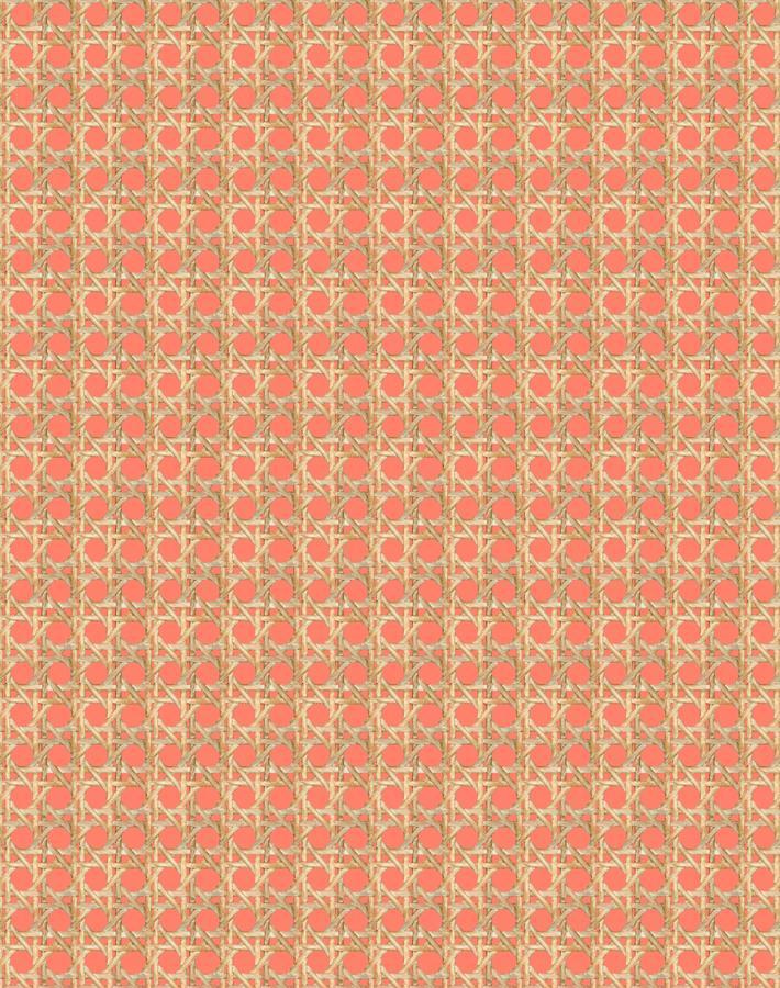 'Faux Caning' Wallpaper by Wallshoppe - Watermelon