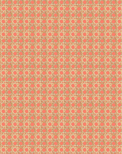 'Faux Caning' Wallpaper by Wallshoppe - Watermelon