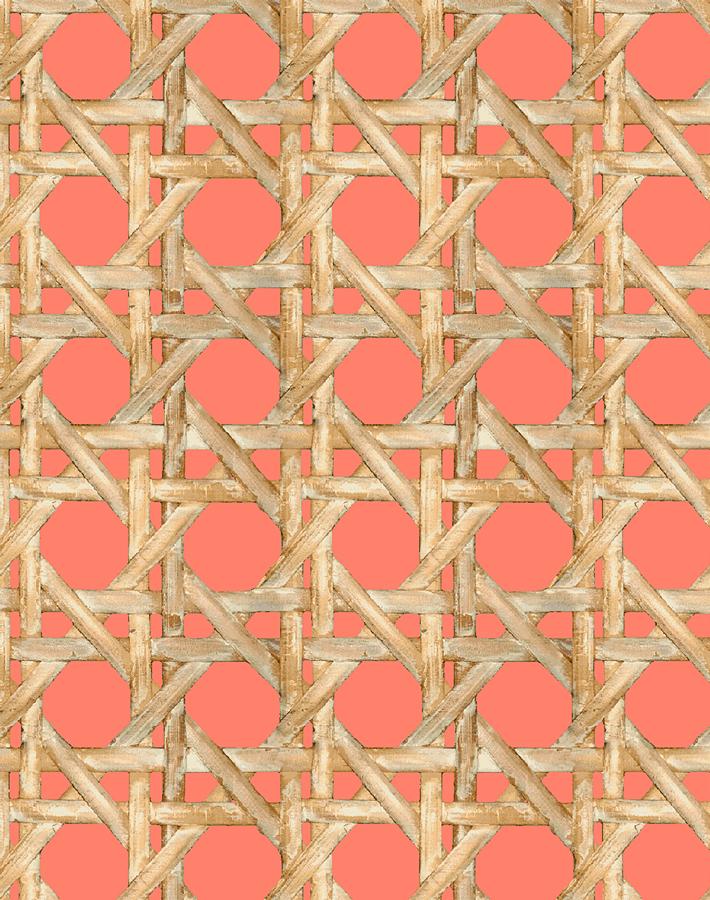 caning watermelon