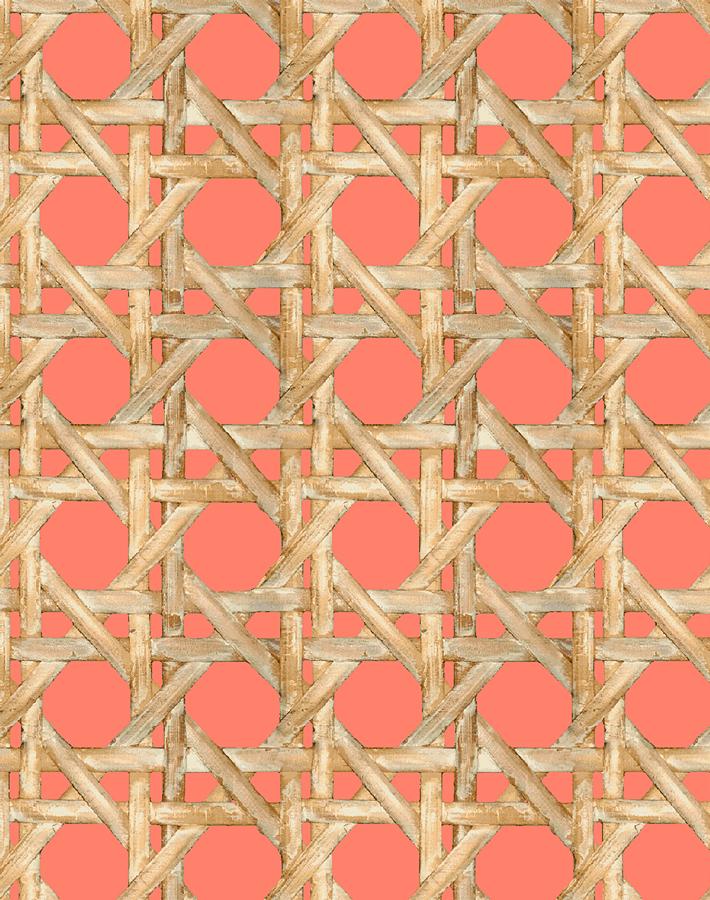 'Faux Caning' Wallpaper by Wallshoppe - Watermelon