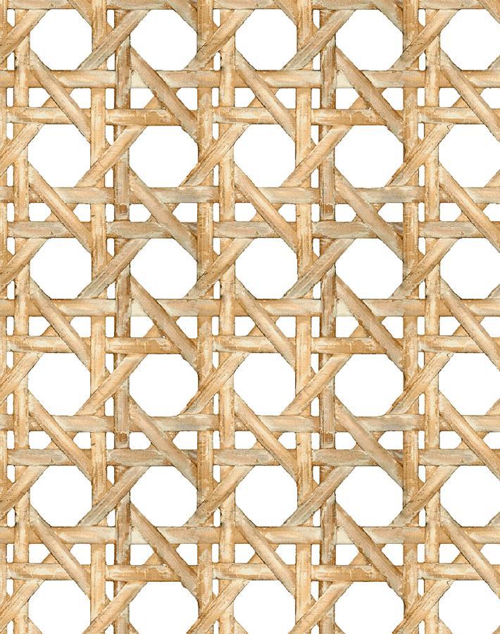 caning wicker