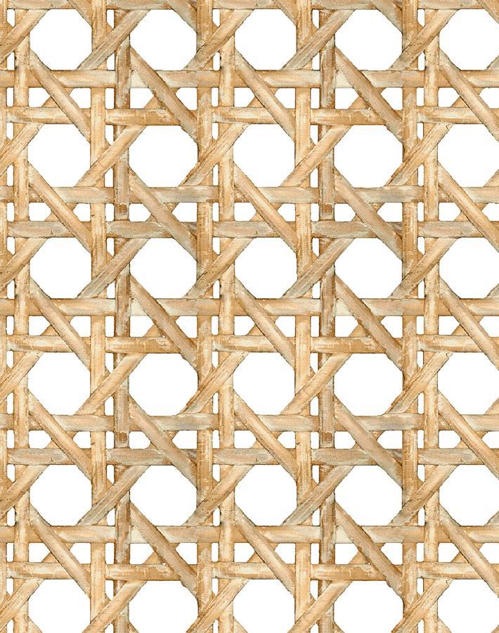 'Faux Caning' Wallpaper by Wallshoppe - Wicker