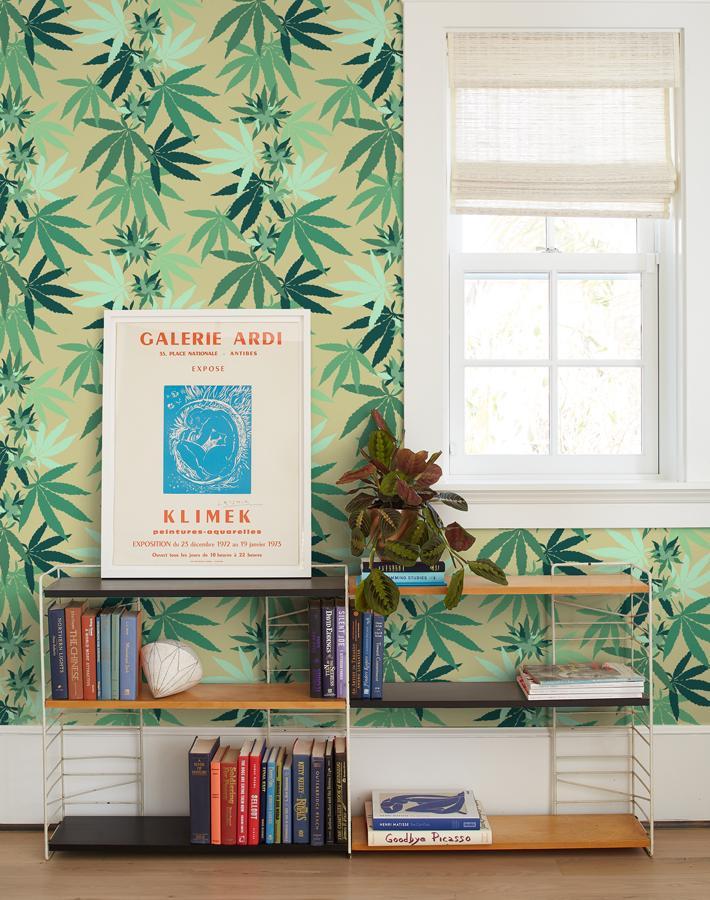 cannabis-bamboo