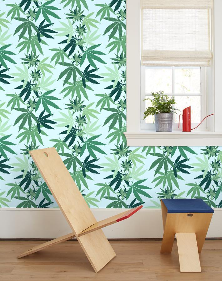 cannabis-sky