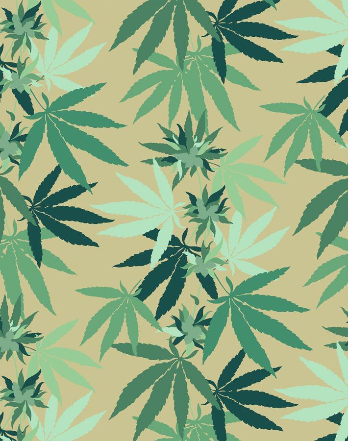 'Cannabis' Wallpaper by Nathan Turner - Bamboo