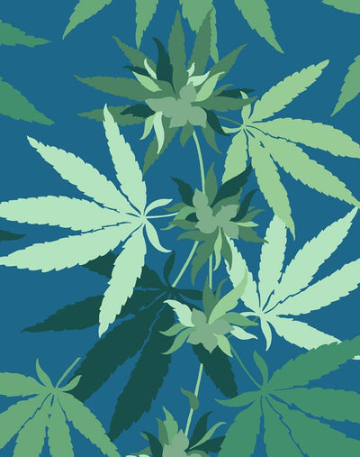 'Cannabis' Wallpaper by Nathan Turner - Cadet Blue