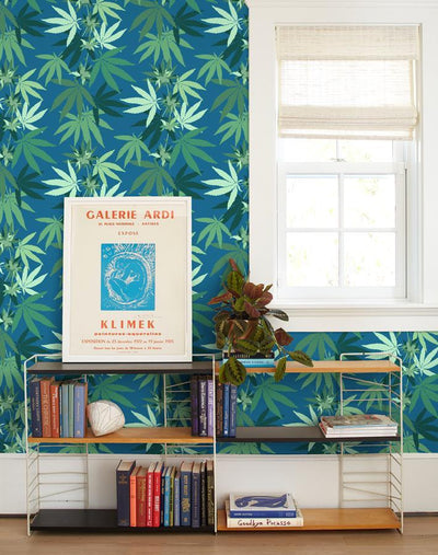 cannabis cadet blue