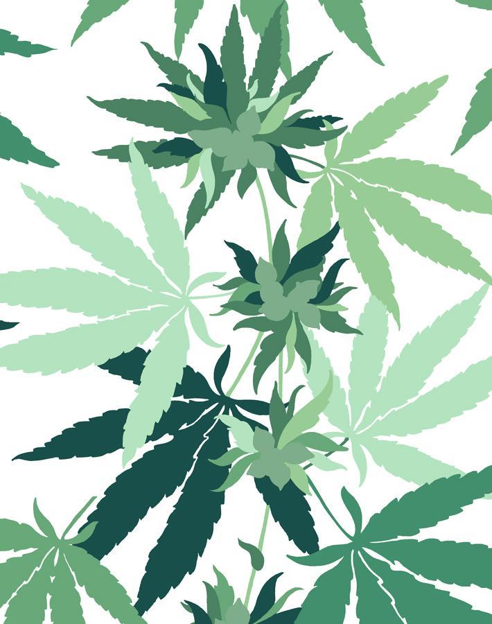 'Cannabis' Wallpaper by Nathan Turner - White