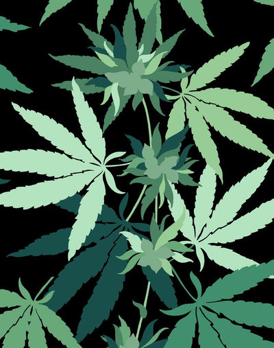 cannabis onyx