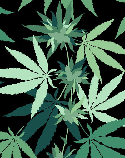 'Cannabis' Wallpaper by Nathan Turner - Onyx