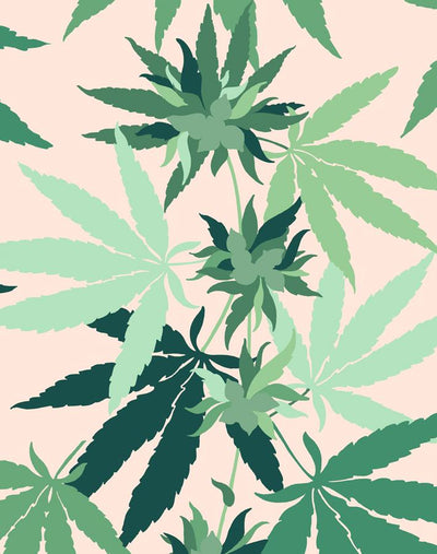 'Cannabis' Wallpaper by Nathan Turner - Peach