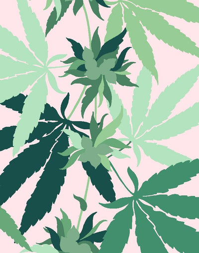 'Cannabis' Wallpaper by Nathan Turner - Pink
