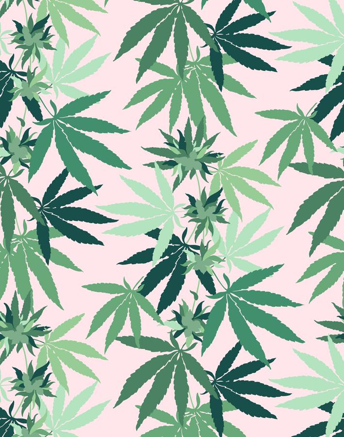 'Cannabis' Wallpaper by Nathan Turner - Pink