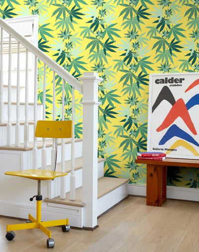 'Cannabis' Wallpaper by Nathan Turner - Daffodil