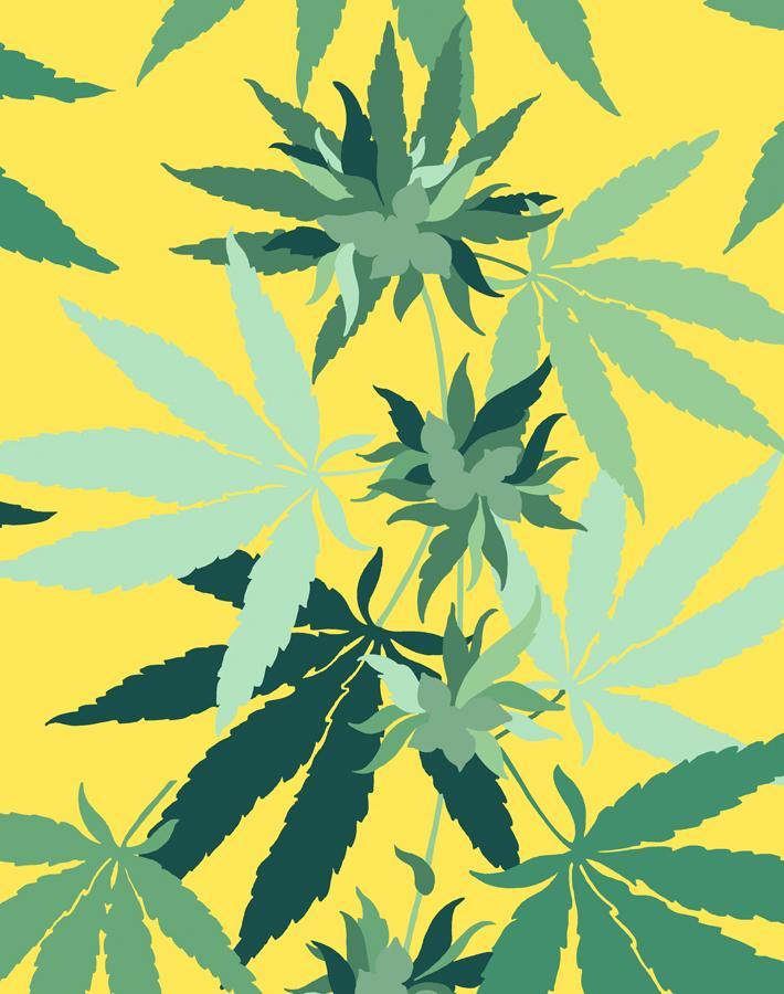 'Cannabis' Wallpaper by Nathan Turner - Daffodil