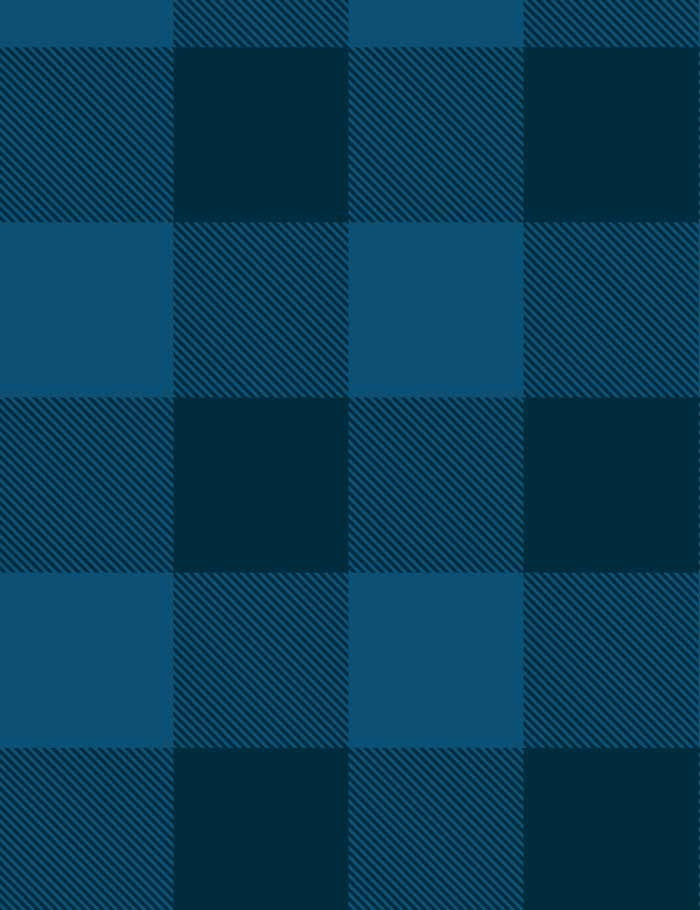 check-baby-check-indigo