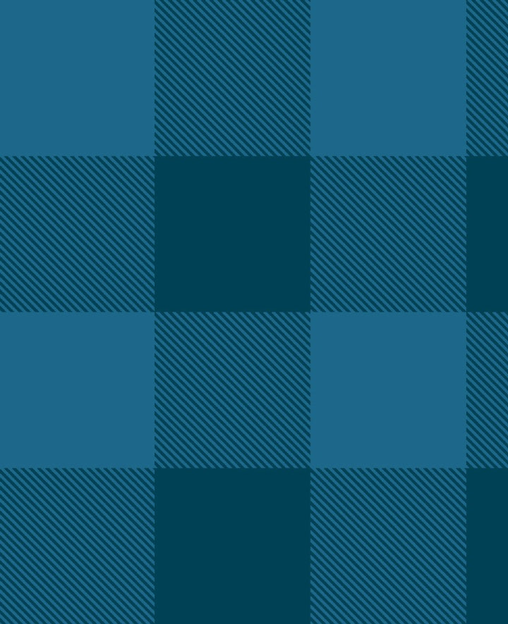 check-baby-check-indigo